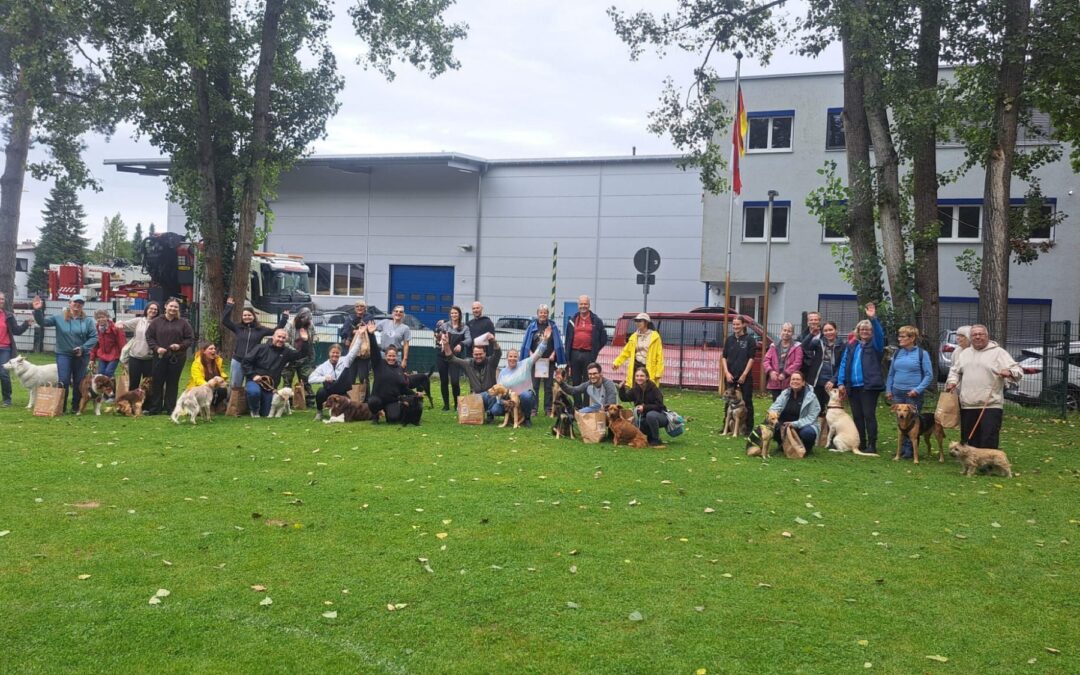 Hunderennen 2025