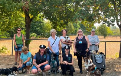 Krimiwanderung 16.08.2026