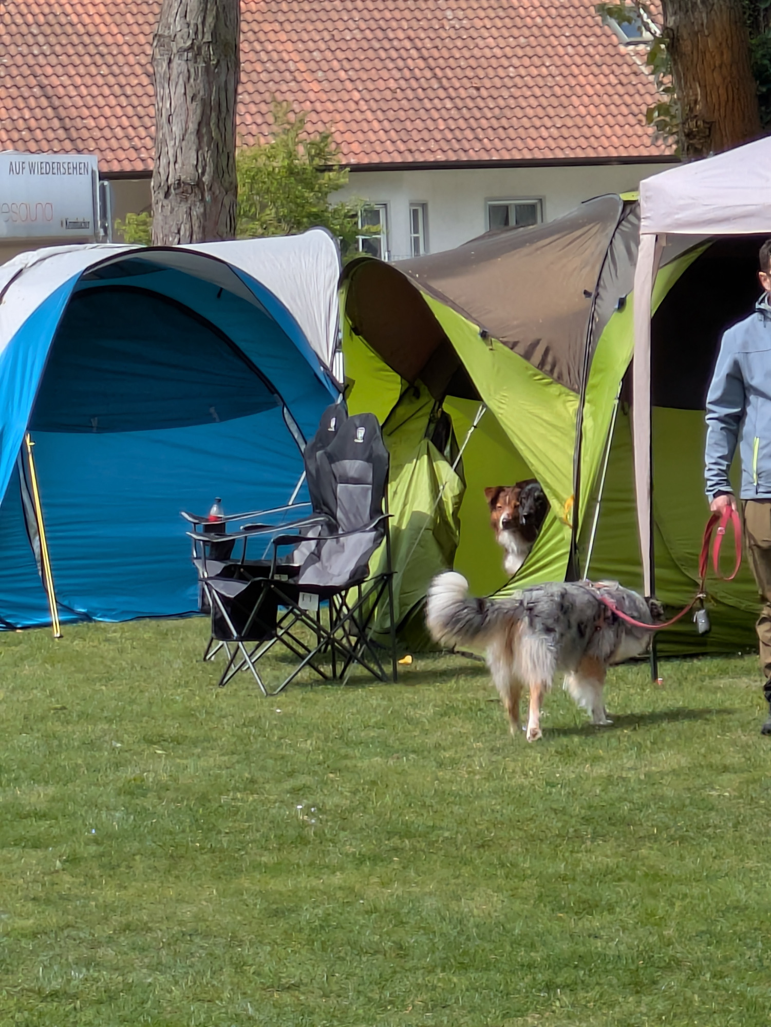 Rally Obedience Turnier 18./19.04.2026