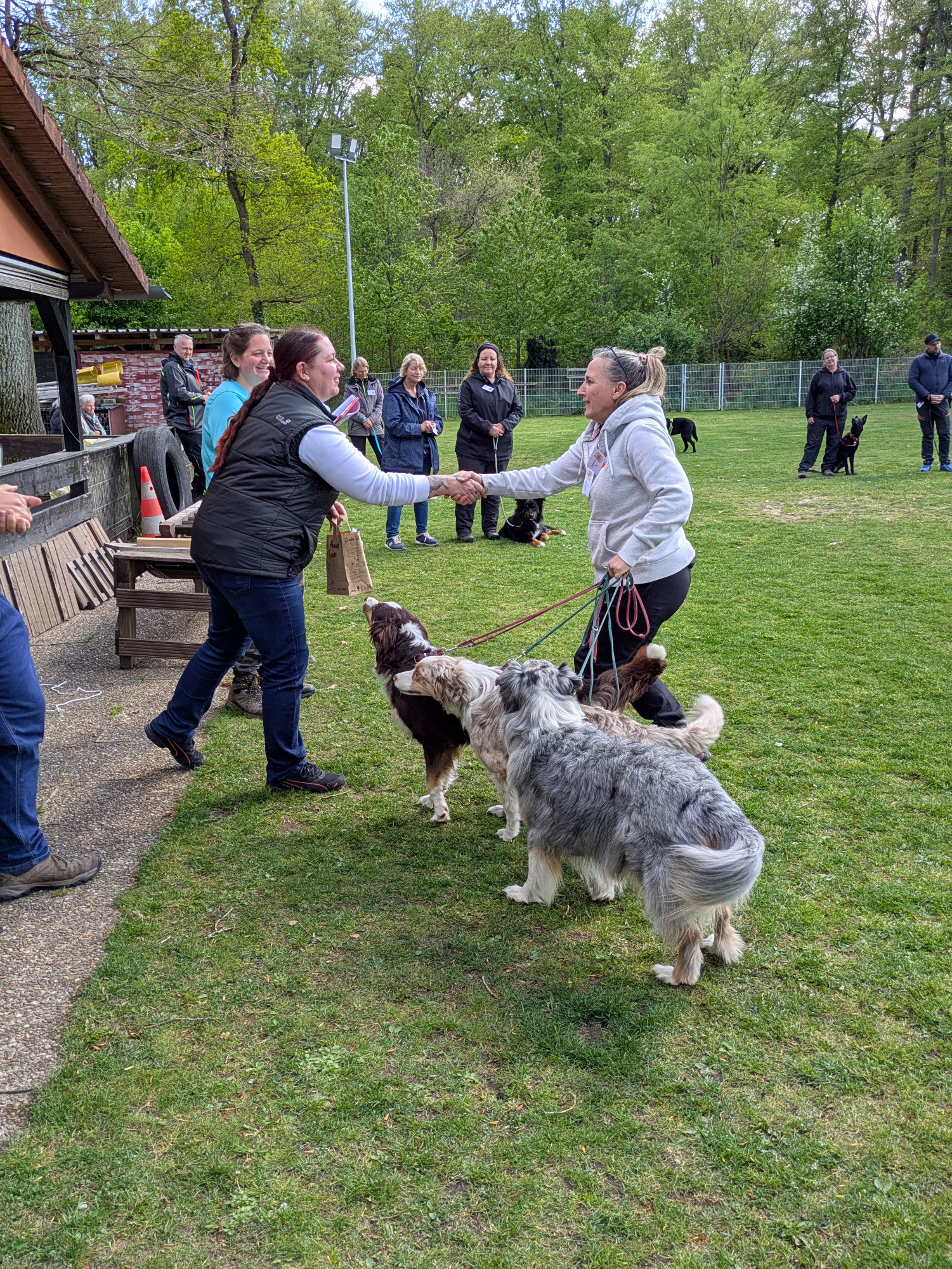 Rally Obedience Turnier 18./19.04.2026